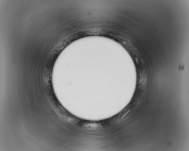 X0000114000503200911131144