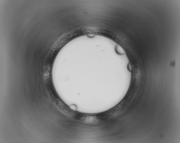 X0000114000507200911131144