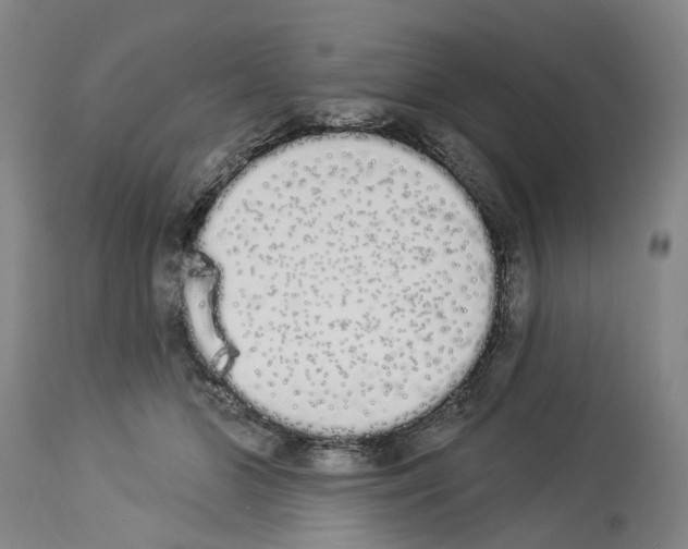 X0000114000510200911131144
