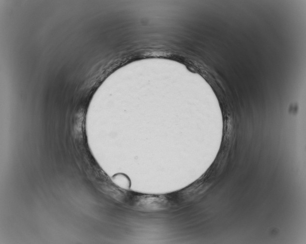 X0000114000517200911131144