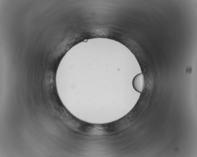 X0000114000518200911131144