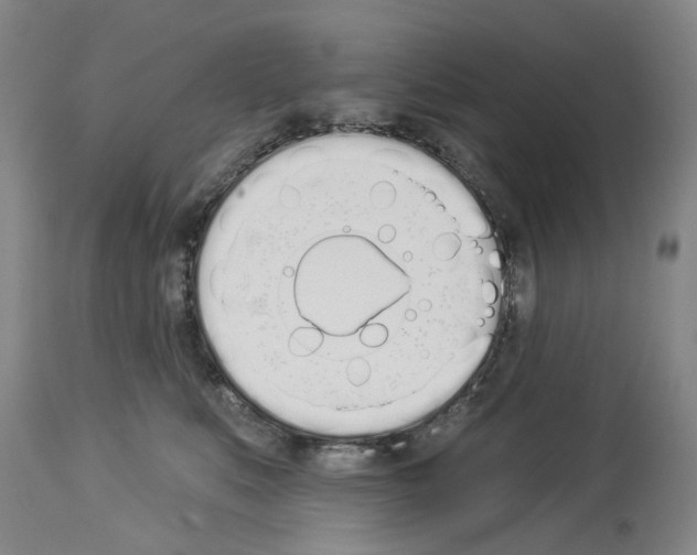 X0000114000519200911131144