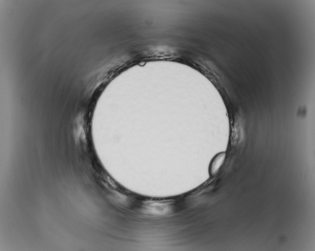 X0000114000520200911131144