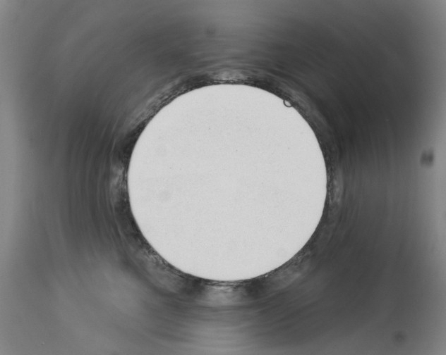 X0000114000521200911131144