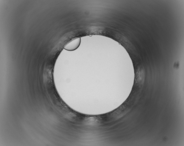 X0000114000522200911131144