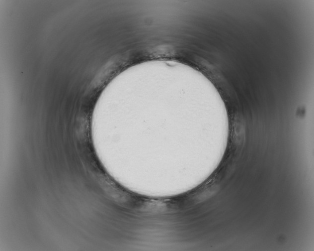 X0000114000523200911131144