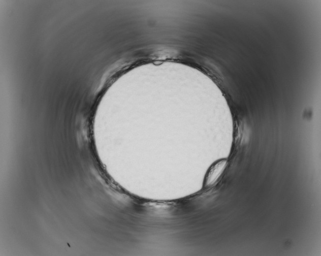 X0000114000524200911131144