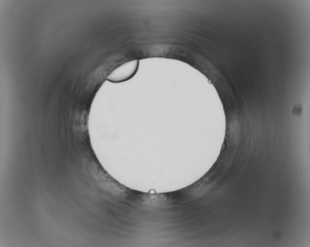 X0000114000525200911131144