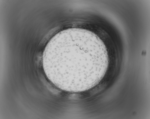 X0000114000527200911131144
