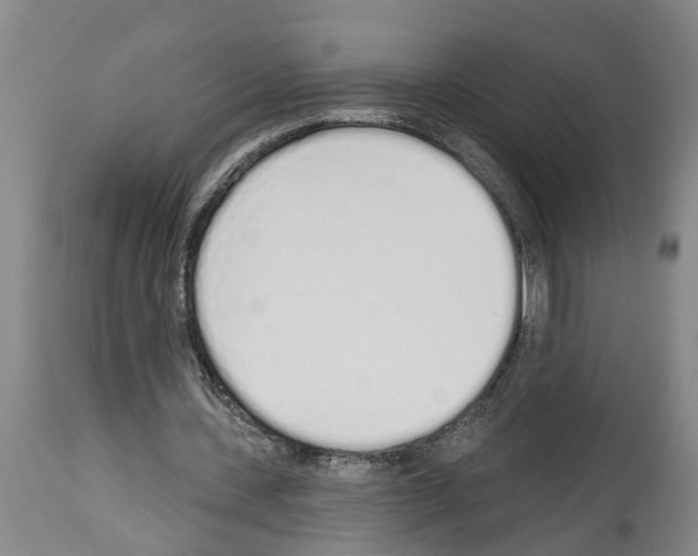 X0000114000531200911131143
