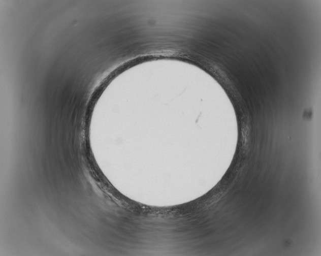 X0000114000532200911131143