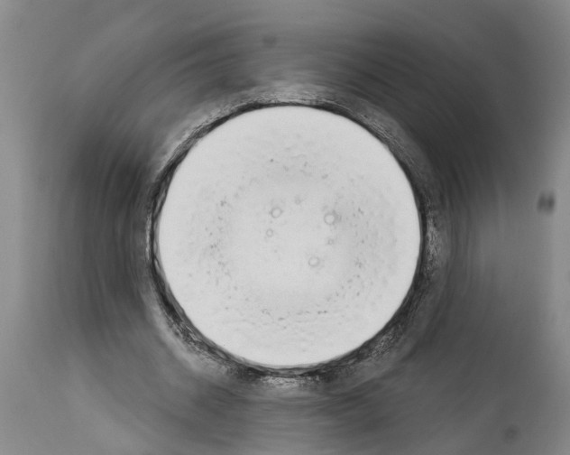 X0000114000534200911131143