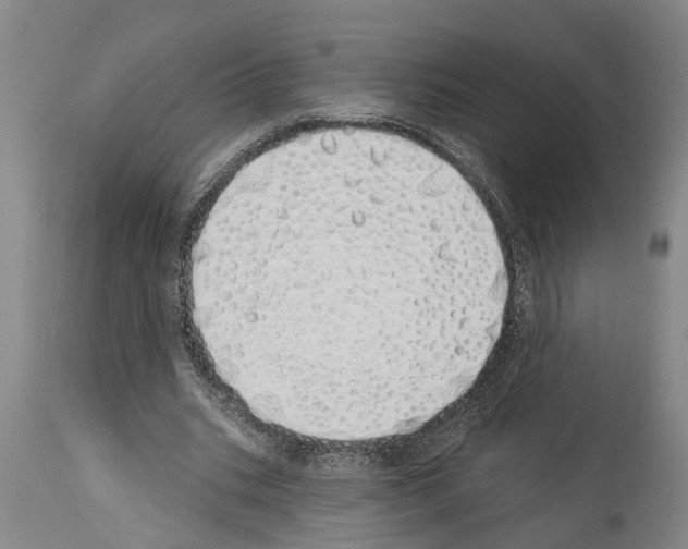 X0000114000535200911131143