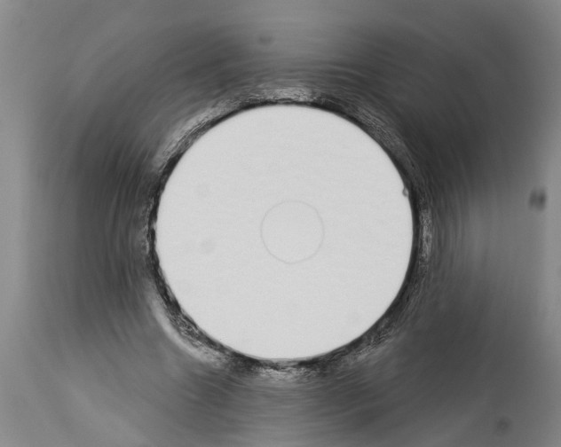 X0000114000538200911131143