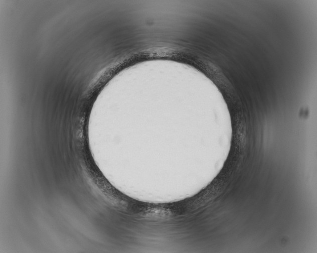 X0000114000543200911131143