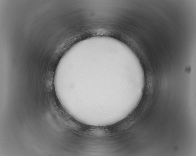 X0000114000545200911131143