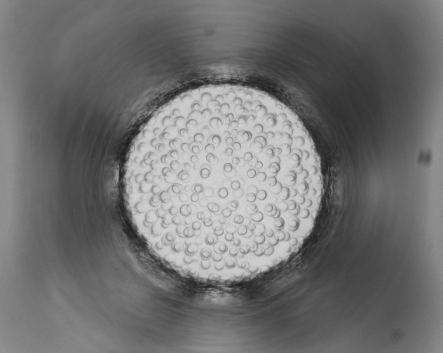 X0000114000550200911131143