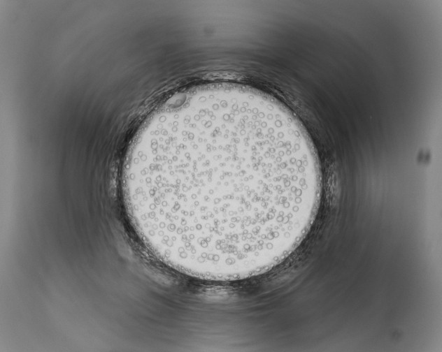 X0000114000551200911131143