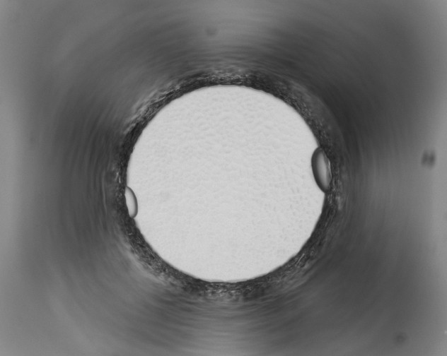 X0000114000552200911131143