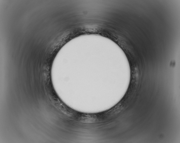 X0000114000559200911131143