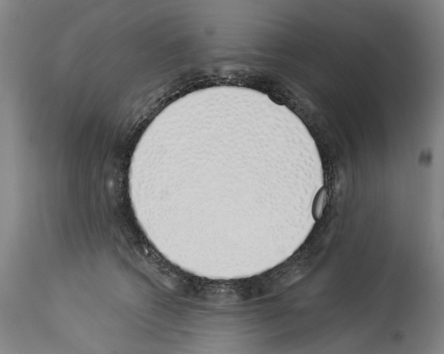 X0000114000562200911131143