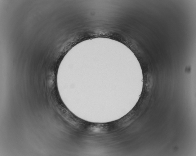 X0000114000563200911131143