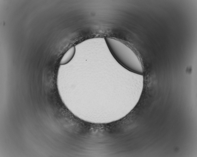 X0000114000564200911131143