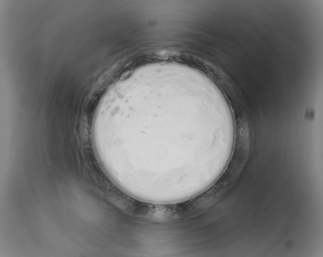 X0000114000565200911131143