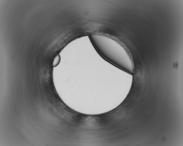 X0000114000566200911131143