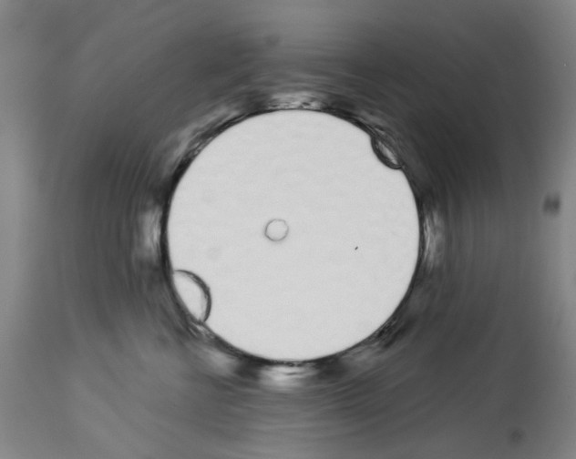 X0000114000570200911131143