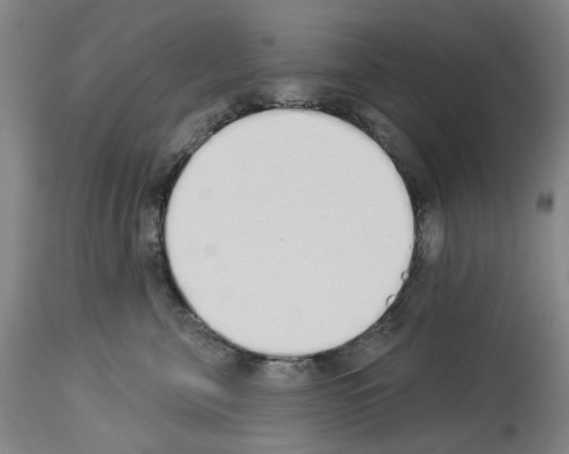 X0000114000571200911131143