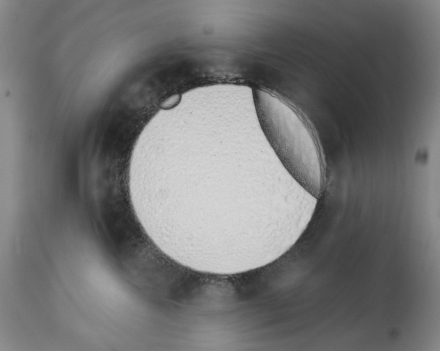 X0000114000572200911131143