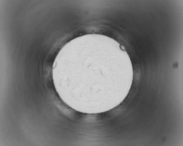 X0000114000574200911131144