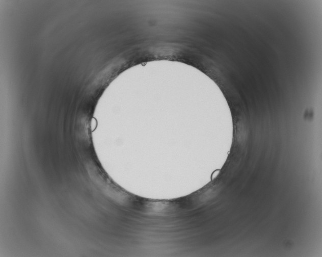 X0000114000575200911131144
