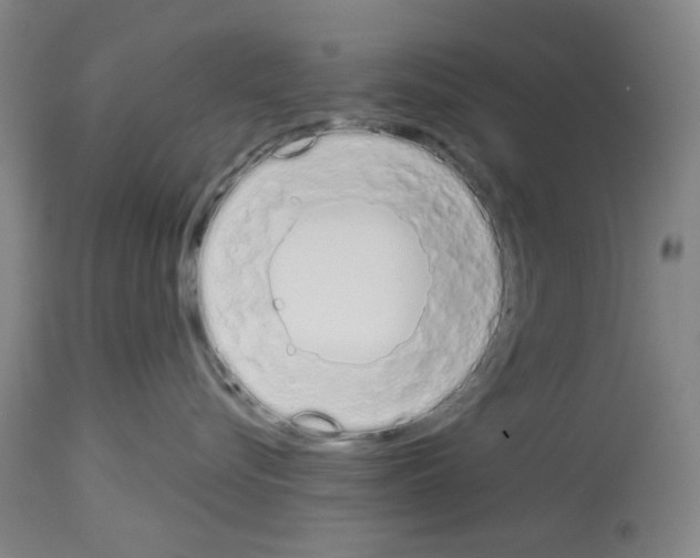X0000114000576200911131144