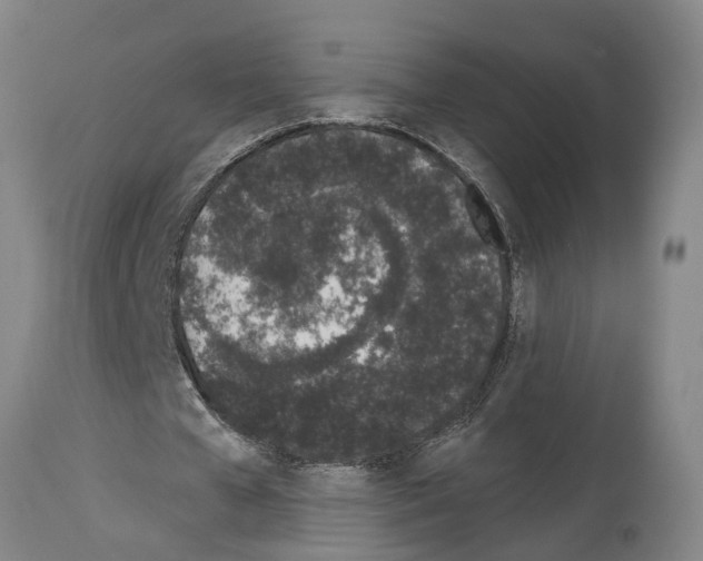 X0000114000577200911131143