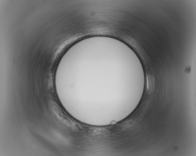 X0000114000579200911131143