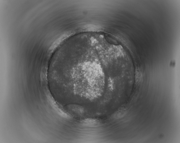 X0000114000581200911131143
