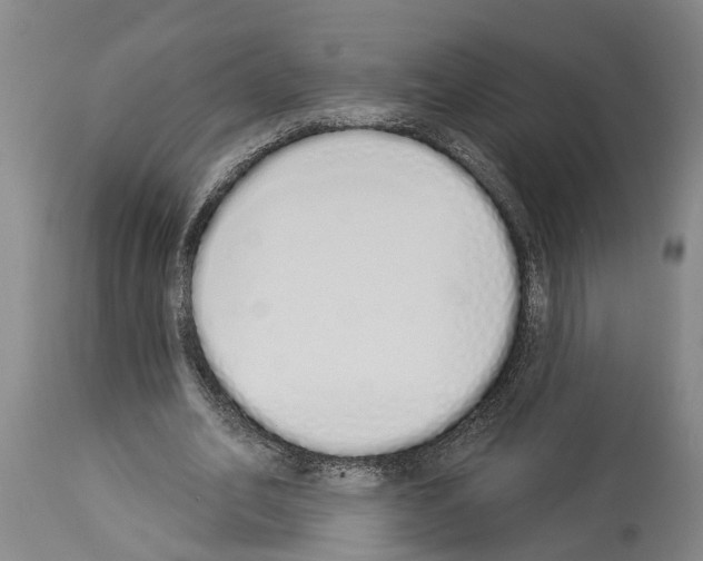 X0000114000582200911131143