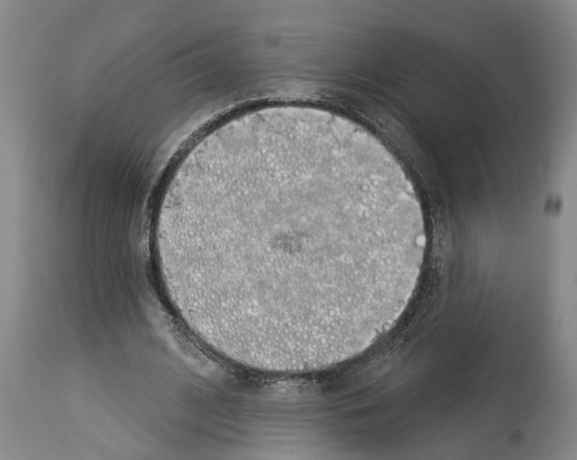 X0000114000584200911131143