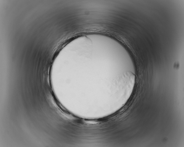 X0000114000589200911131143