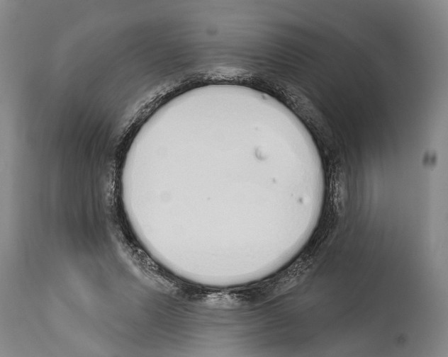 X0000114000591200911131143