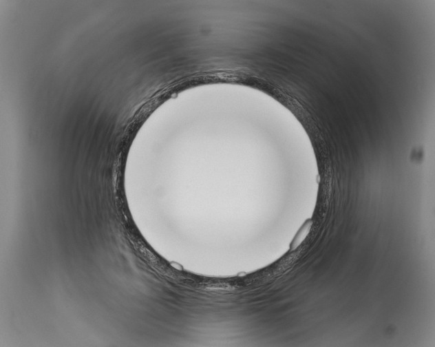 X0000114000595200911131142