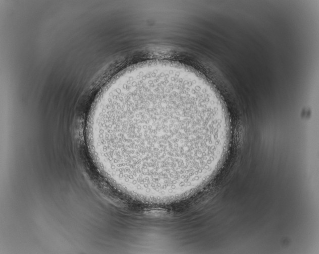 X0000114000598200911131142