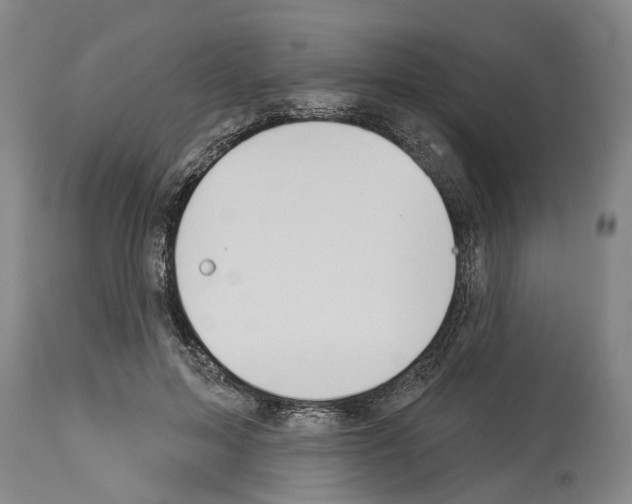 X0000114000599200911131142