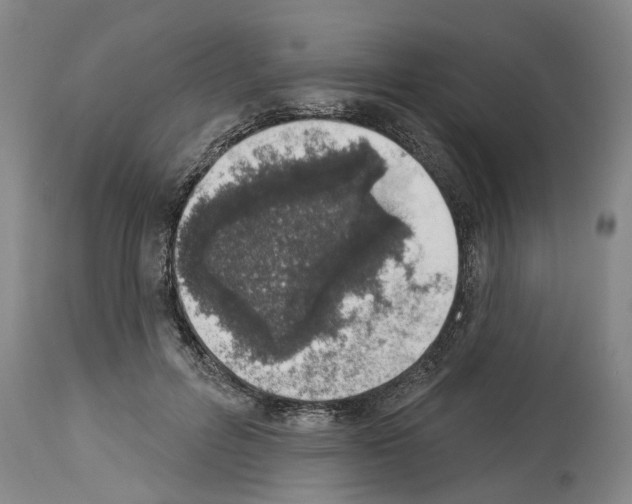 X0000114000600200911131142
