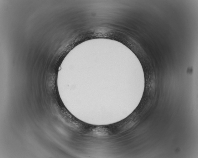 X0000114000603200911131142