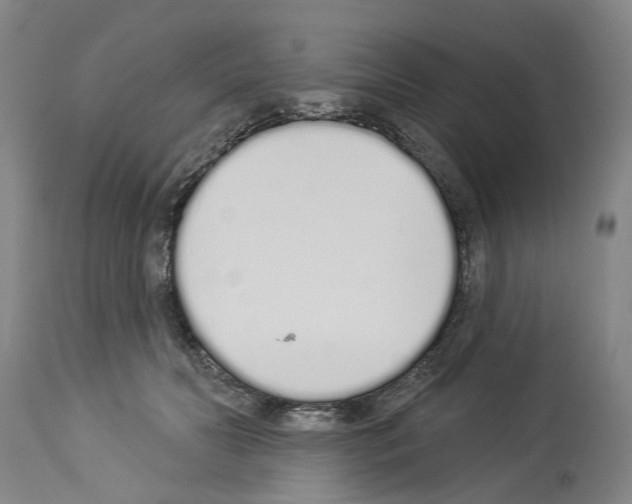 X0000114000606200911131142