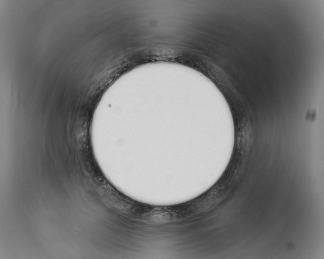 X0000114000608200911131142