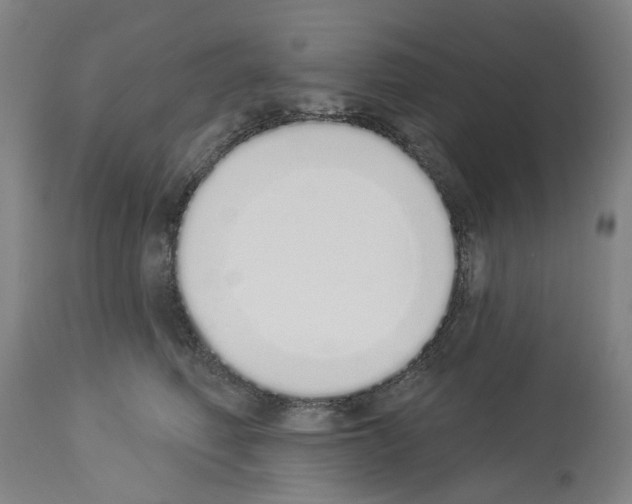 X0000114000614200911131142